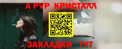 шишки Пугачёв