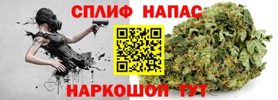 шишки Пугачёв
