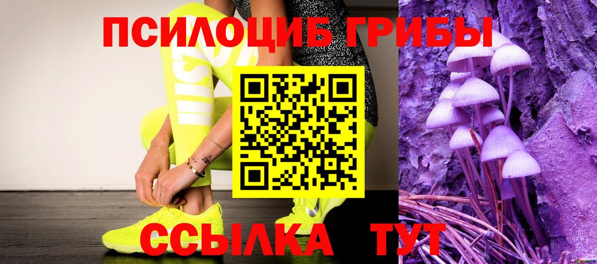 Псилоцибиновые грибы Psilocybine cubensis Тавда